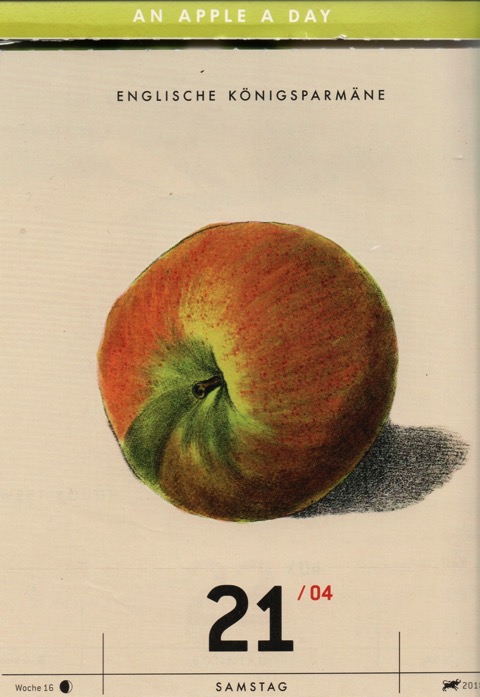 Historische Abbildung eines rot-grünlichen Apfels; ©Verlag Hermann Schmidt