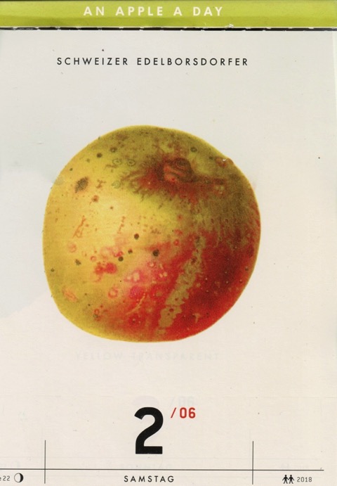 Kalenderblatt mit historischer Abbildung eines gelblich-rötlichen Apfels; Schweizer Edelborsdorfer; Verlag Hermann Schmidt