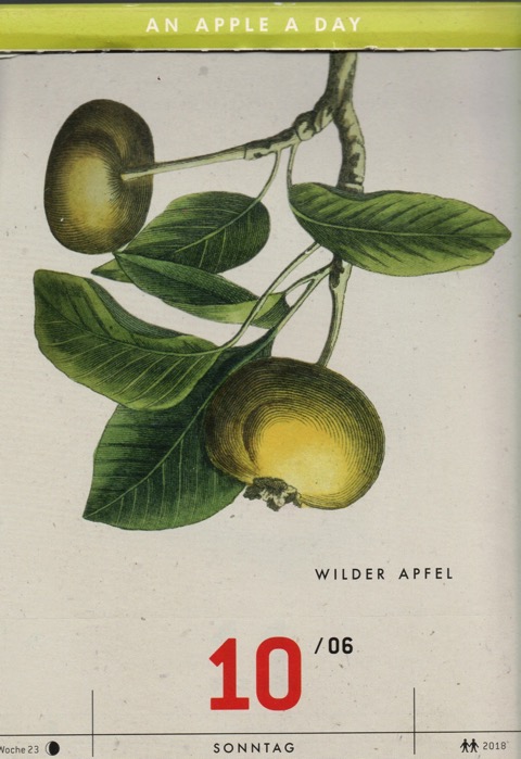Historische Abbildung zweier grün-gelber Äpfel an einem Zweig mit Blättern; Verlag Hermann Schmidt