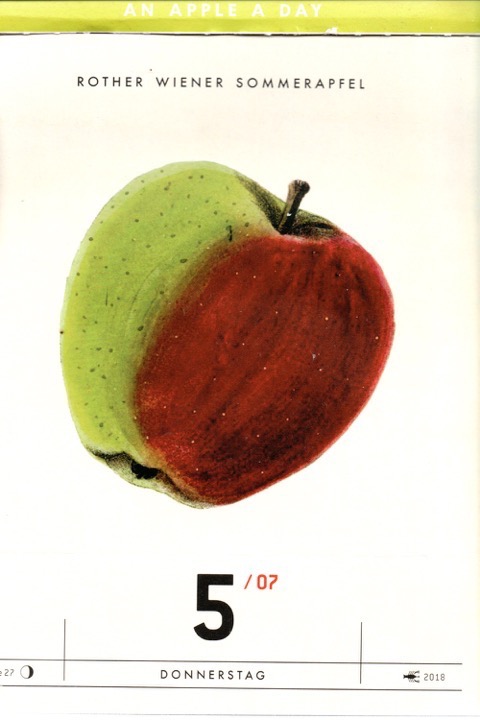 Ein Tageskalender mit einer Historische Abbildung eines rot-grünen Apfels
