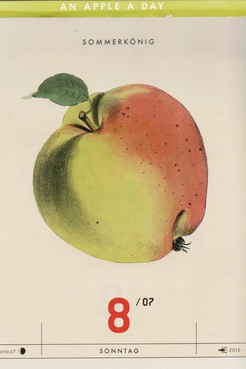 Historische Abbildung eines gelblich-rötlichen und eines aufgeschnittenen Apfels; Verlag Hermann Schmidt