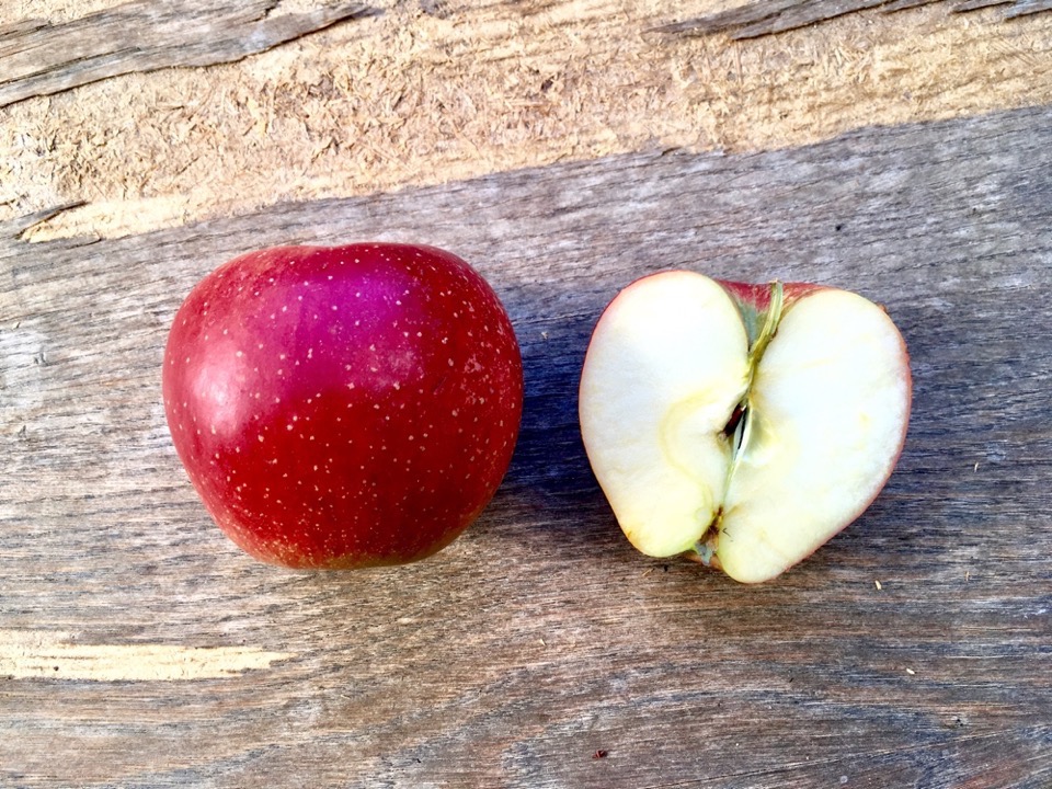 Ein dunkelroter und ein aufgeschnittener Apfel liegen auf einem Tisch
