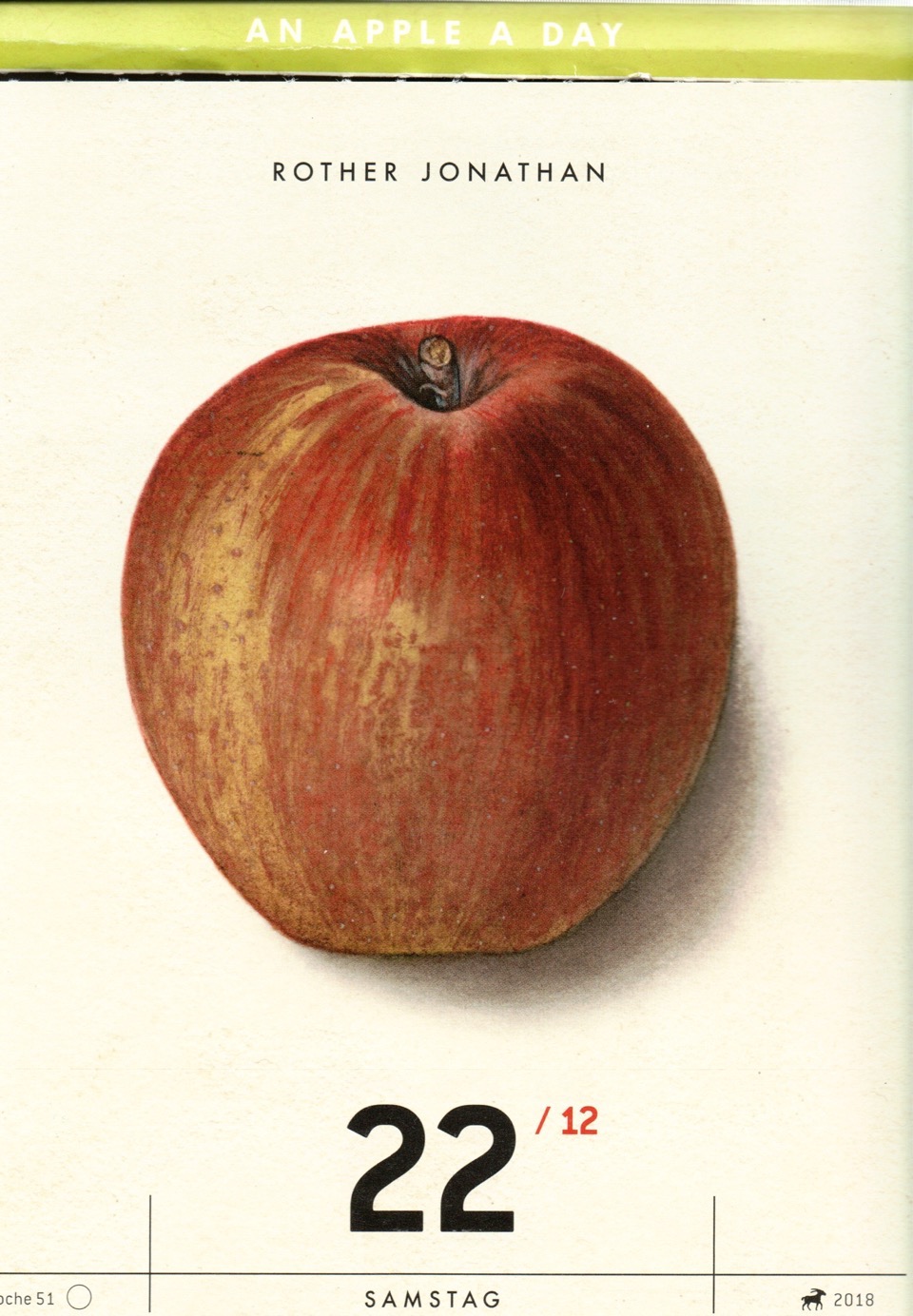 Kalender mit der hsitorischen Abbildung eines gelblich-roten Apfels; Verlag Hermann Schmidt
