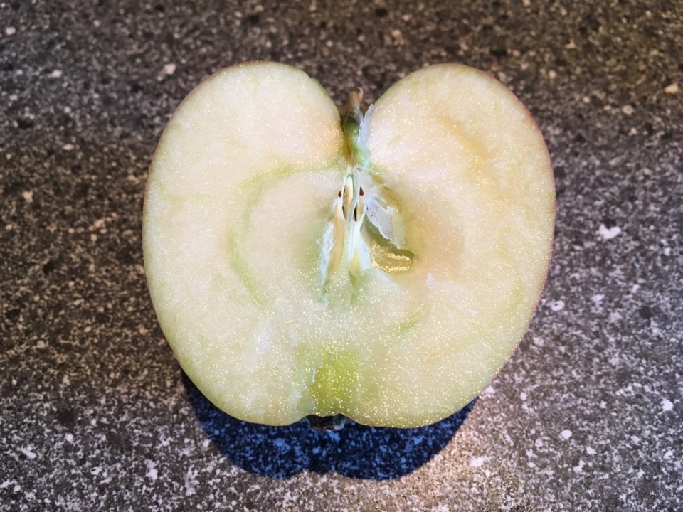 Aufgeschnittener Apfel mit weißem Fruchtfleisch